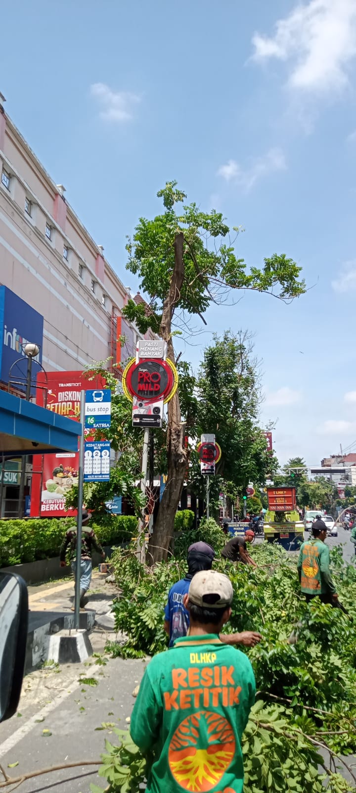 Tindakan pengurangan ketinggian pohon dan beban dahan jl. Hayam Wuruk