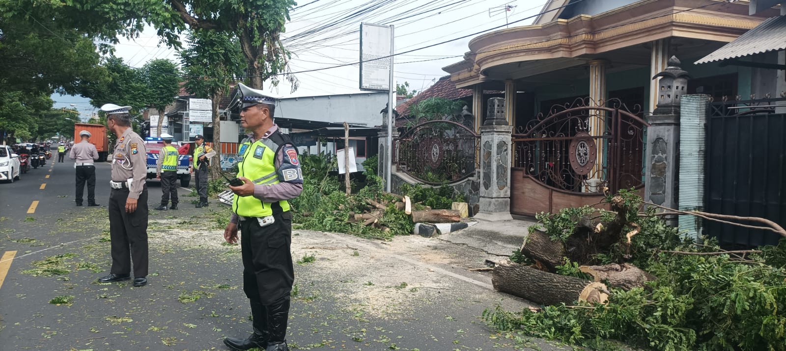 Gercep! Polisi di Kota Kediri Evakuasi Pohon Tumbang Akibat Curah Hujan Tinggi