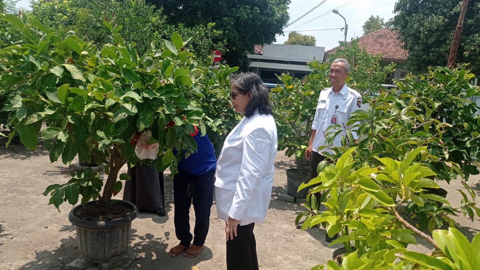 Pj Wali Kota Kediri Tinjau Kebun DKPP, Dukung Program Dalam Mencapai Ketahanan Pangan