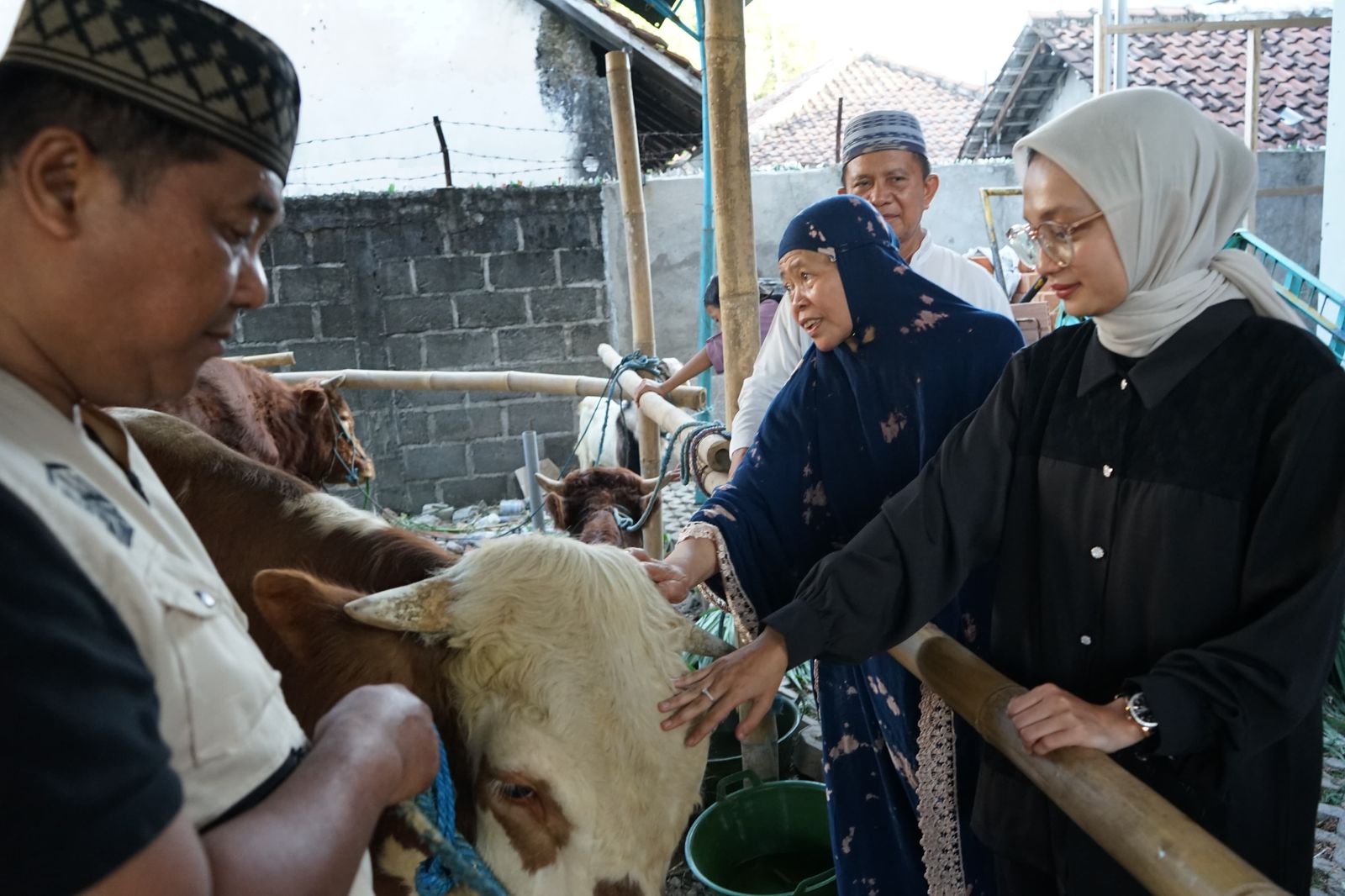 Mbak Wali Serahkan Sapi Hewan Kurban Ke Masjid Al Khalid 