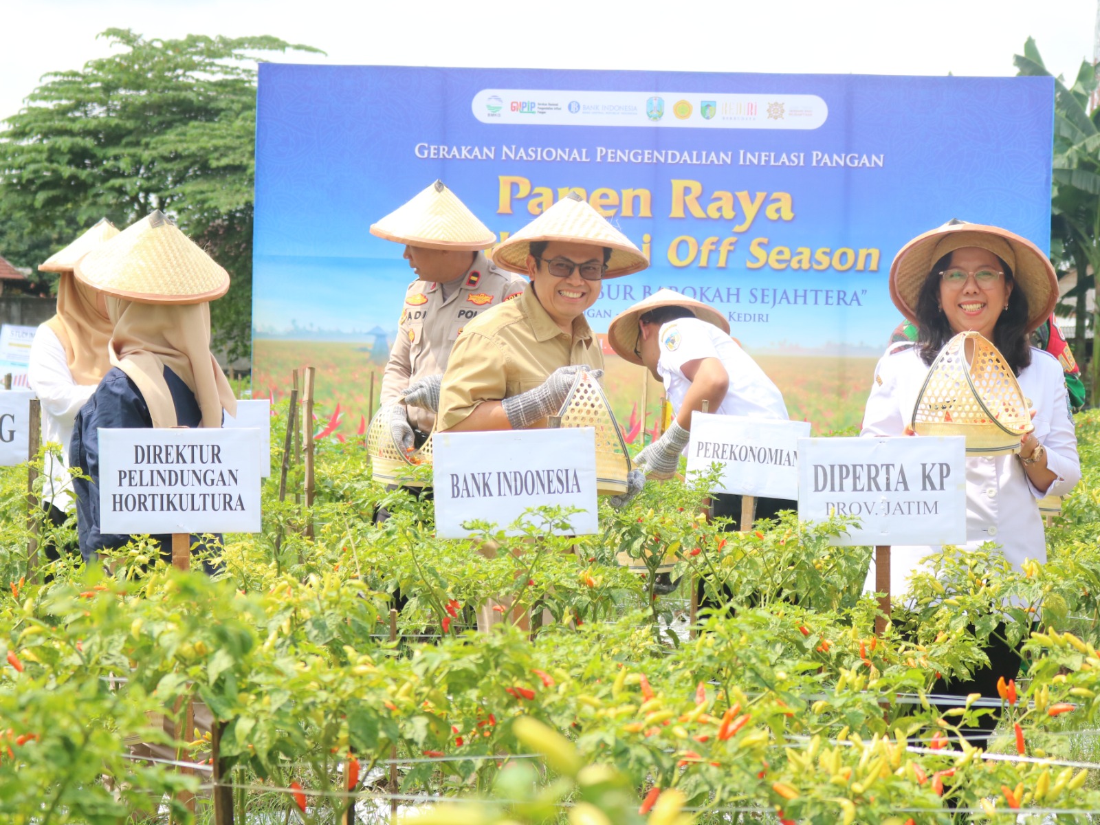 Bank Indonesia Dorong Pengendalian Inflasi Pangan dari Sisi Hulu melalui Program Pelatihan Cabai off Season Ramah Lingkungan