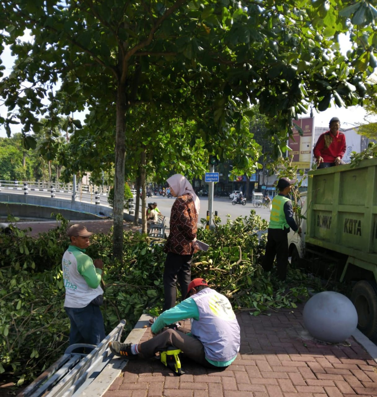 Cegah Pohon Tumbang di Musim Hujan Disertai Angin Kencang, DLHP Kota Kediri Lakukan Perantingan