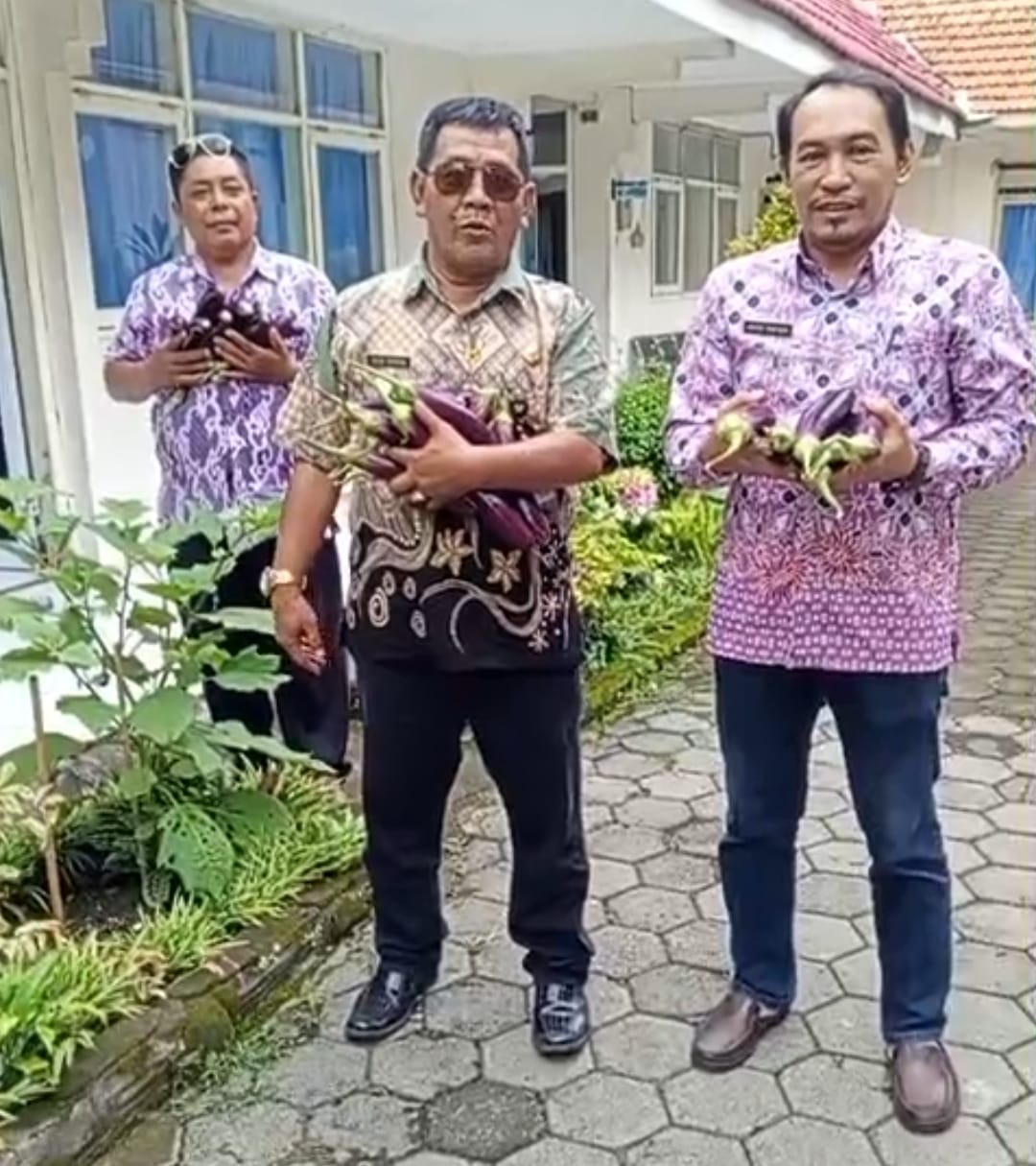 Camat Mojoroto Panen Perdana Buah Terong Ungu, Manfaatkan Pekarangan Kantor