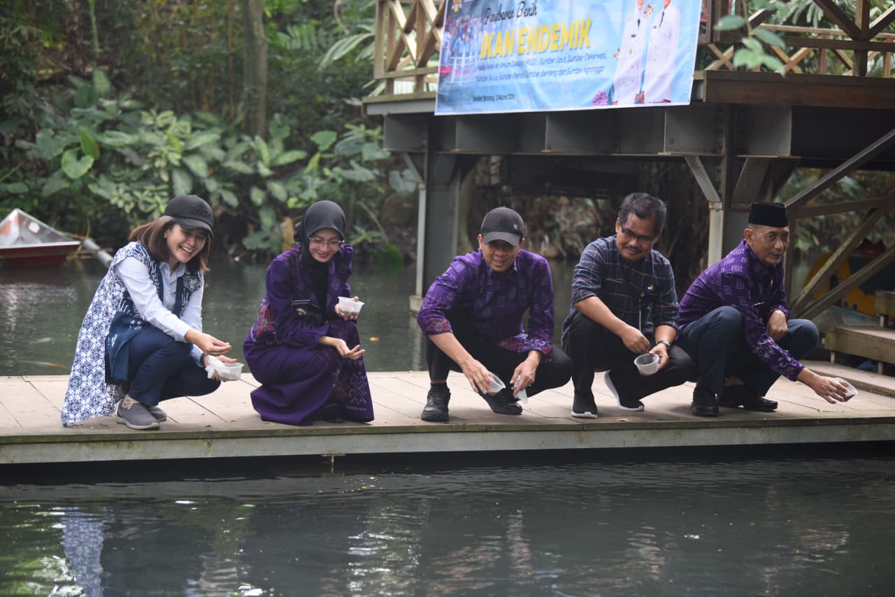 Mbak Wali Tebar 13.100 Benih Ikan Endemik Jawa Timur di Sumber Banteng