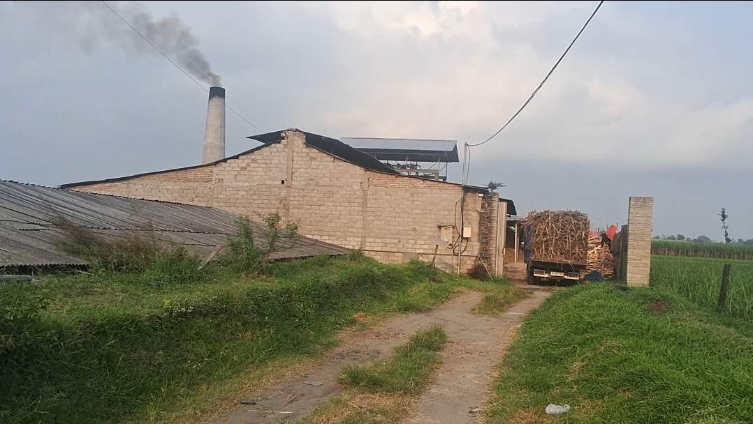 Industri Gula Merah di Ngadiluwih Tetap Produksi Ditengah Kenaikan Harga Plastik