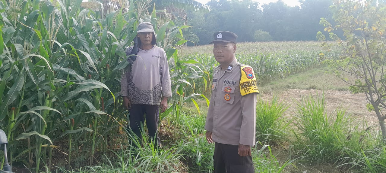 Jelang Hari Bhayangkara ke-80, Polisi Galakkan Dukung Ketahanan Pangan