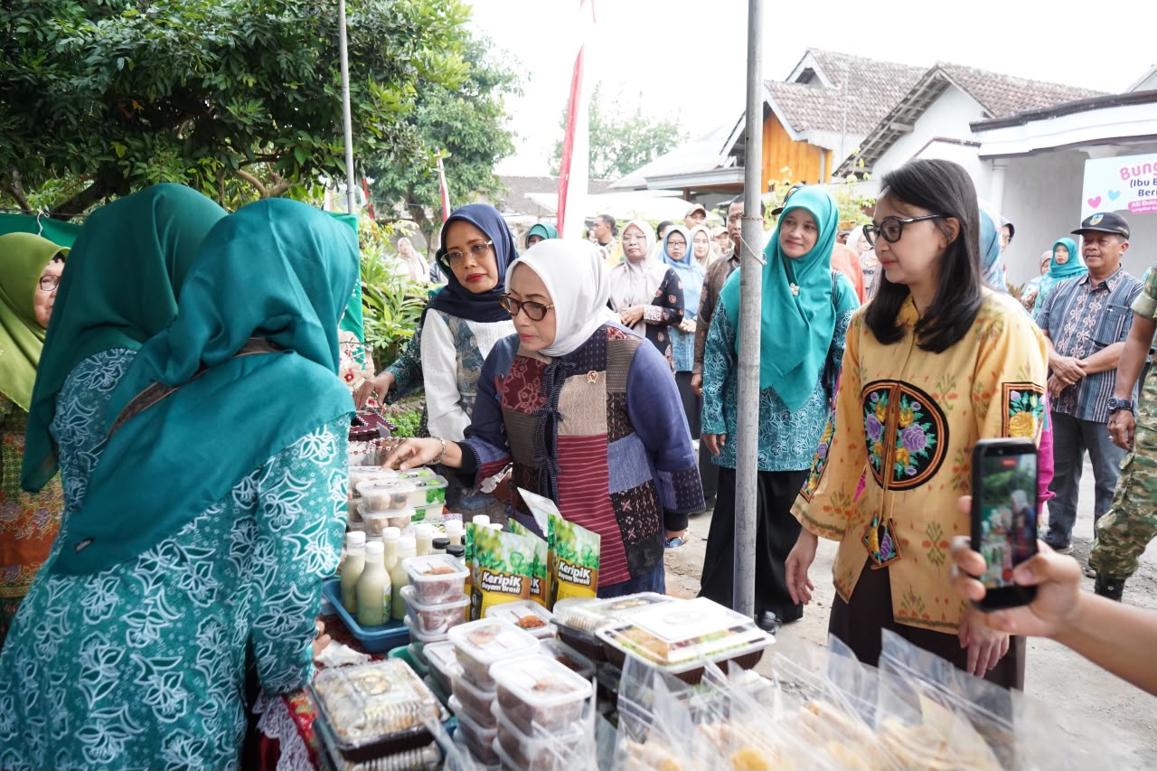 Curi Perhatian Pusat, Mbak Cicha Dampingi Menteri PPPA Kunjungi P2L Desa Tertek